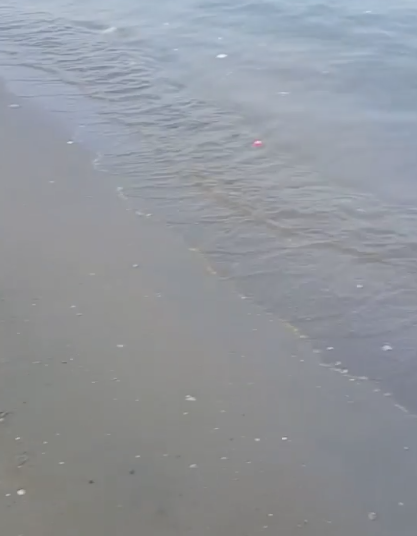 تلوث شاطئ مسنة الفنطاس بمادة زيتية