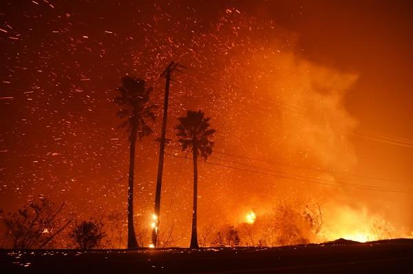 42 ضحية لحرائق الغابات في شمال كاليفورنيا
