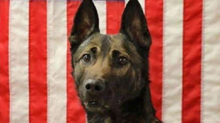 البنتاغون ينعى كلباً قتل على يد تنظيم القاعدة: أعماله أنقذت حياة مدربه وغيره من جنود الرينجرز