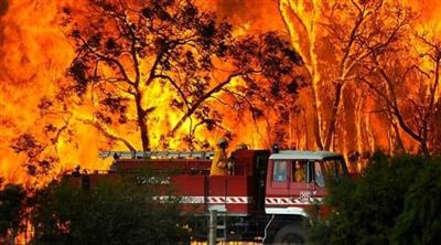 حرائق الغابات تدمر 30 منزلاً في فيكتوريا الأسترالية