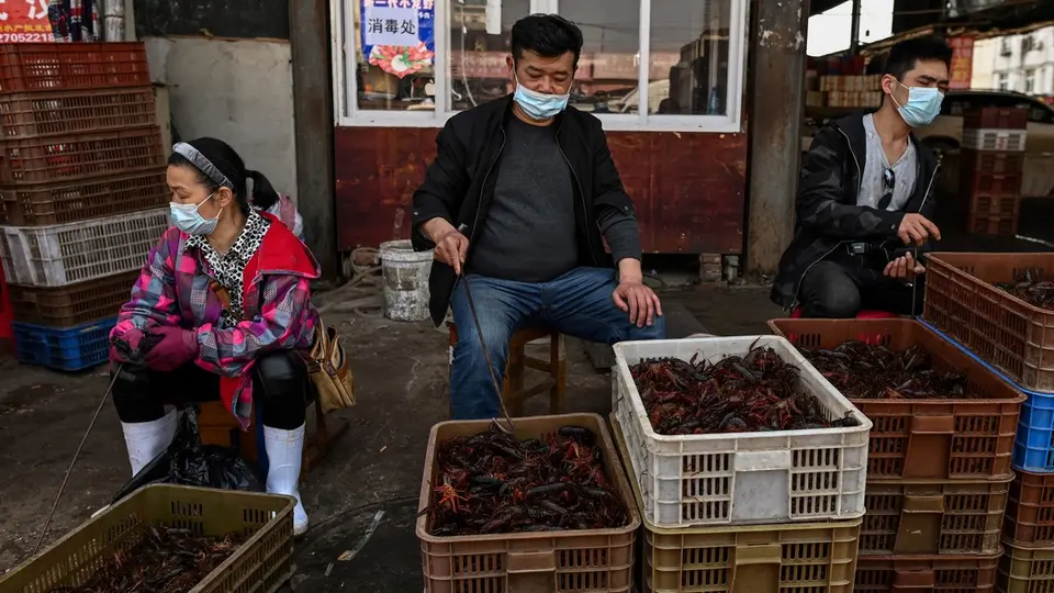 بعثة أممية إلى الصين للتحقيق في أصل فيروس «كورونا»