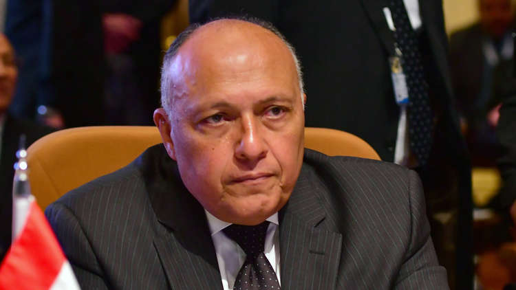 وزير الخارجية المصري:نسعى للتوصل لحل عادل وشامل للقضية الفلسطينية
