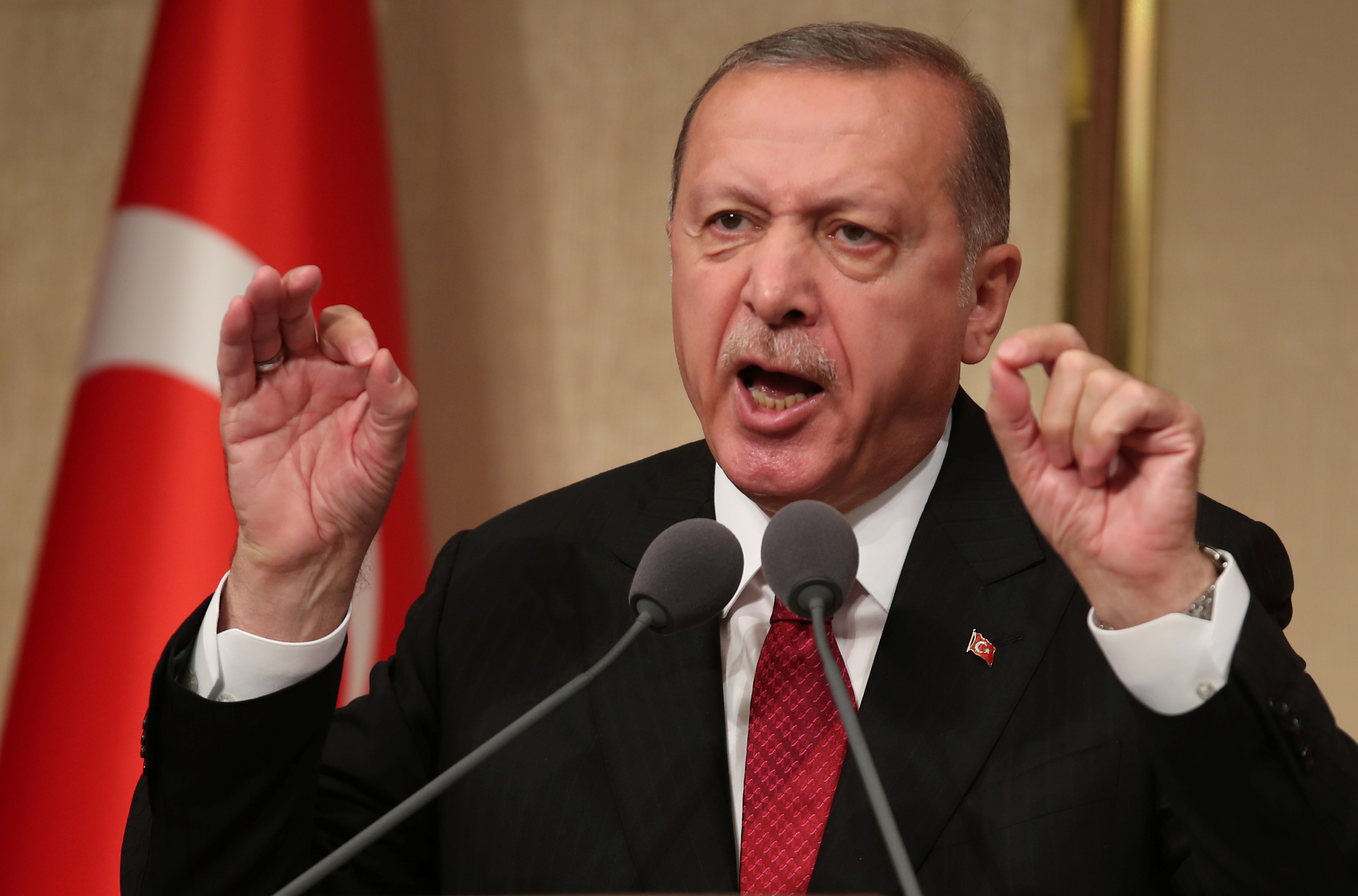 أردوغان: الرئيس الفرنسي بحاجة إلى «فحص صحته العقلية»