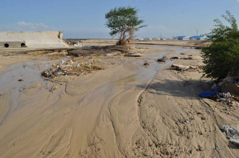 جمعية البيئة تدعو لإعداد خريطة أضرار السيول لتدارك المخاطر