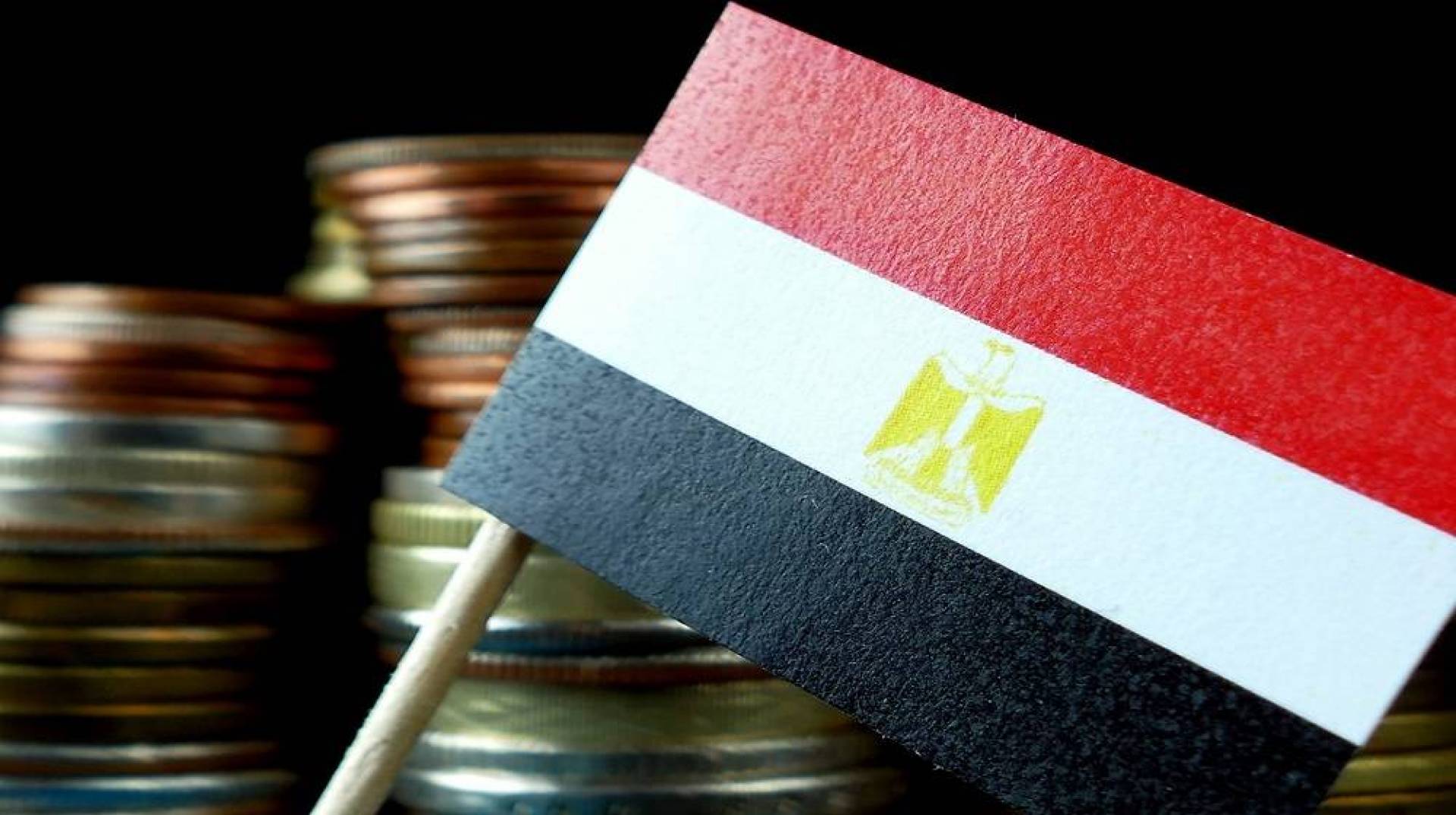 بلومبيرغ: مصر تدرس بيع 3 شركات مملوكة للجيش   