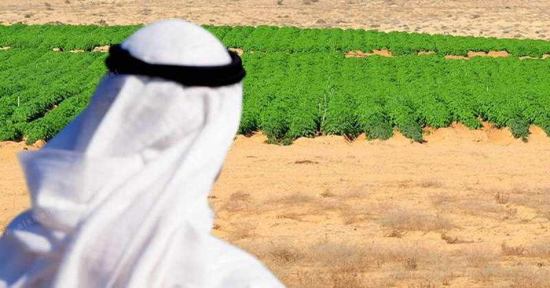 لماذا لم تتأثر دول الخليج بأزمة الغذاء العالمية حتى الآن؟