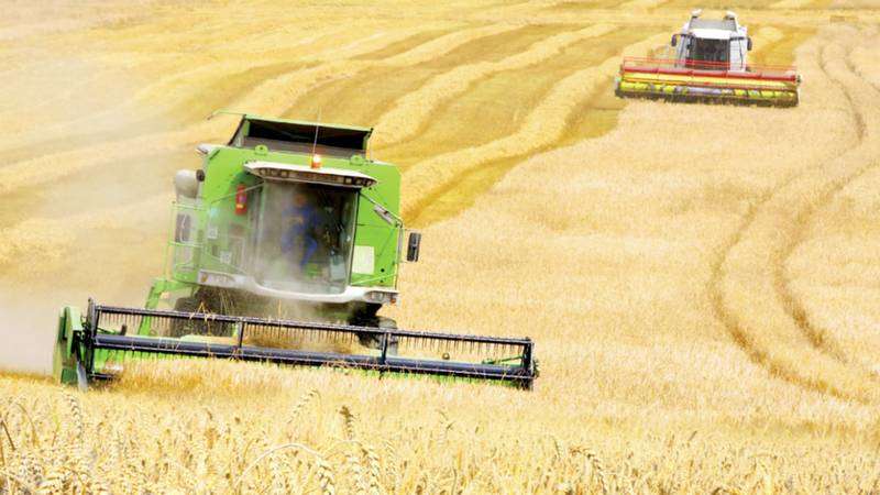 أوكرانيا تتطلع لزيادة صادرات الحبوب بعد تخفيف بولندا القيود على الحدود