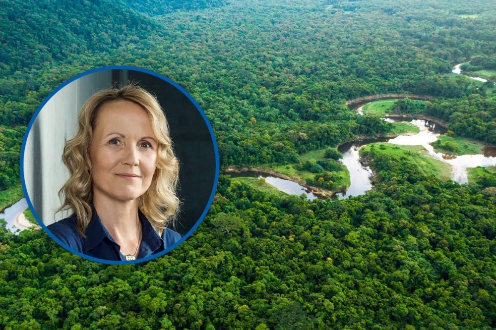 وزيرة البيئة الألمانية: إزالة الغابات لها عواقب على الكوكب بأكلمه