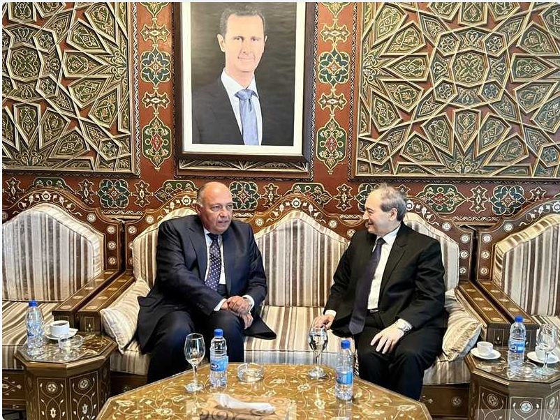 شكري: سعيد بزيارتي لسوريا وتشرفت بلقاء الرئيس بشار الأسد