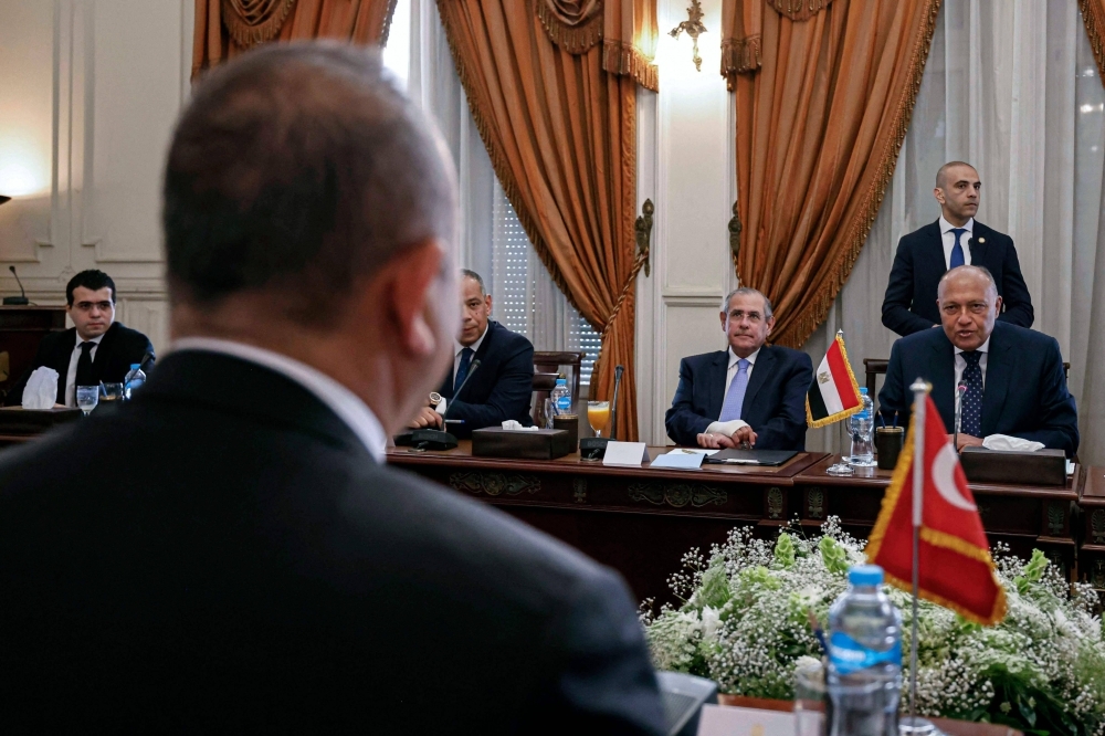 وزيرا خارجية مصر وتركيا: التطبيع الكامل للعلاقات